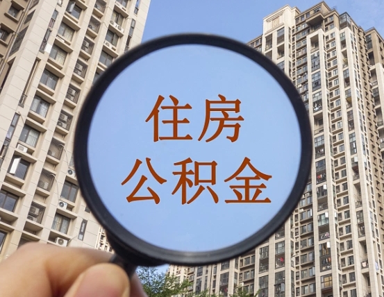 焦作退休后查不到公积金明细了吗（退休后公积金查询不到原因）